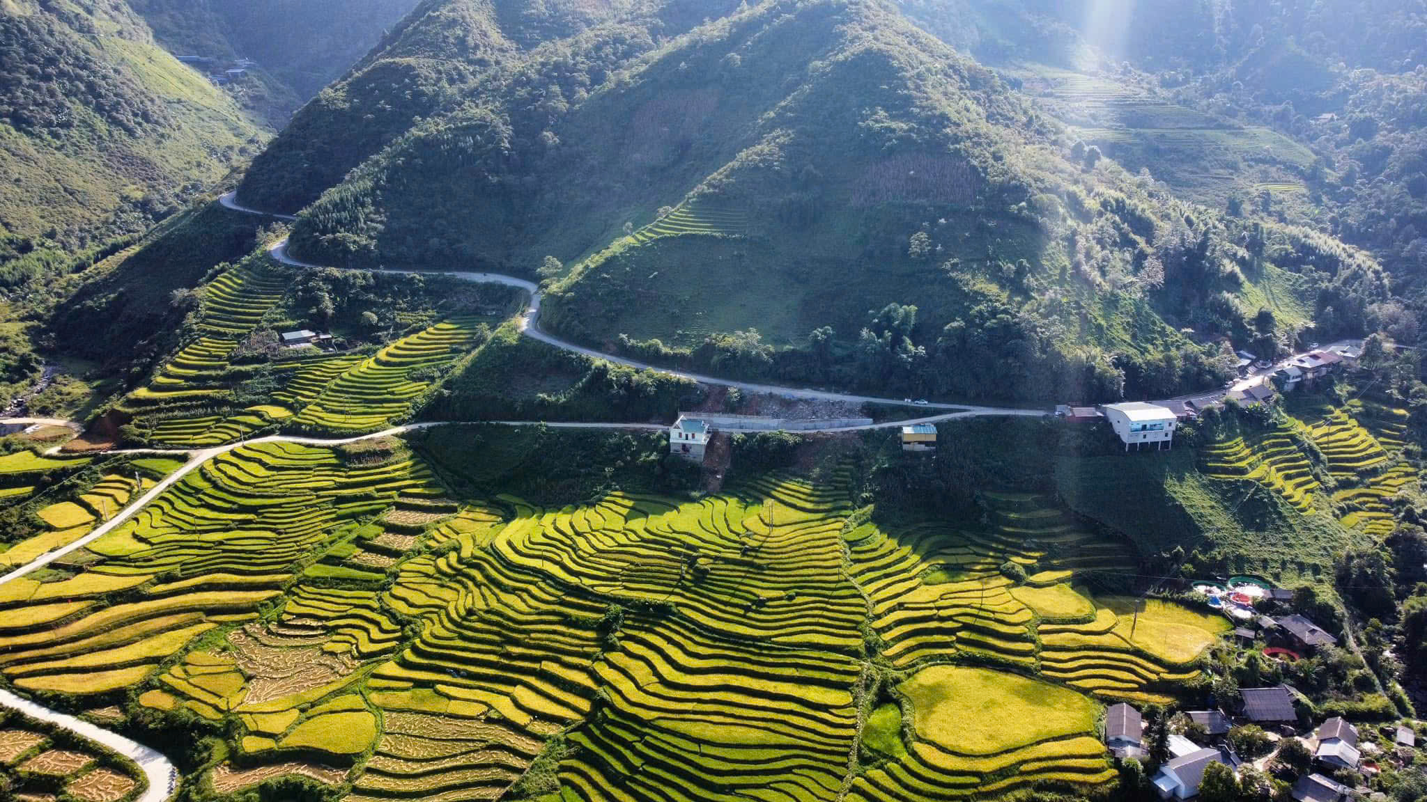 khóa đào tạo EMDR cơ bản_ảnh Khóa đào tạo EMDR cơ bản