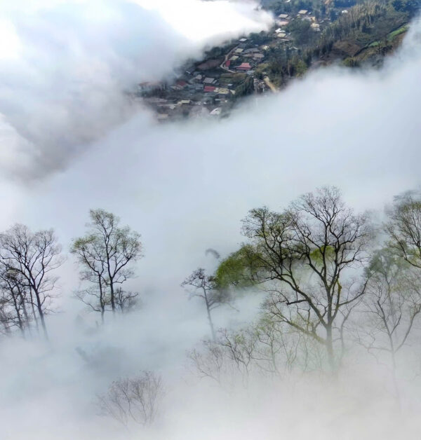 Nhà trị liệu EMDR được chứng nhận (EMDR accredited practitioner)