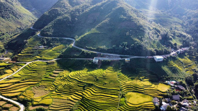 Khóa đào tạo EMDR cơ bản