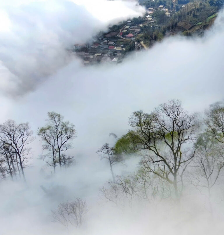 Nhà trị liệu EMDR được chứng nhận (EMDR accredited practitioner)