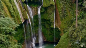 Nhà đào tạo EMDR