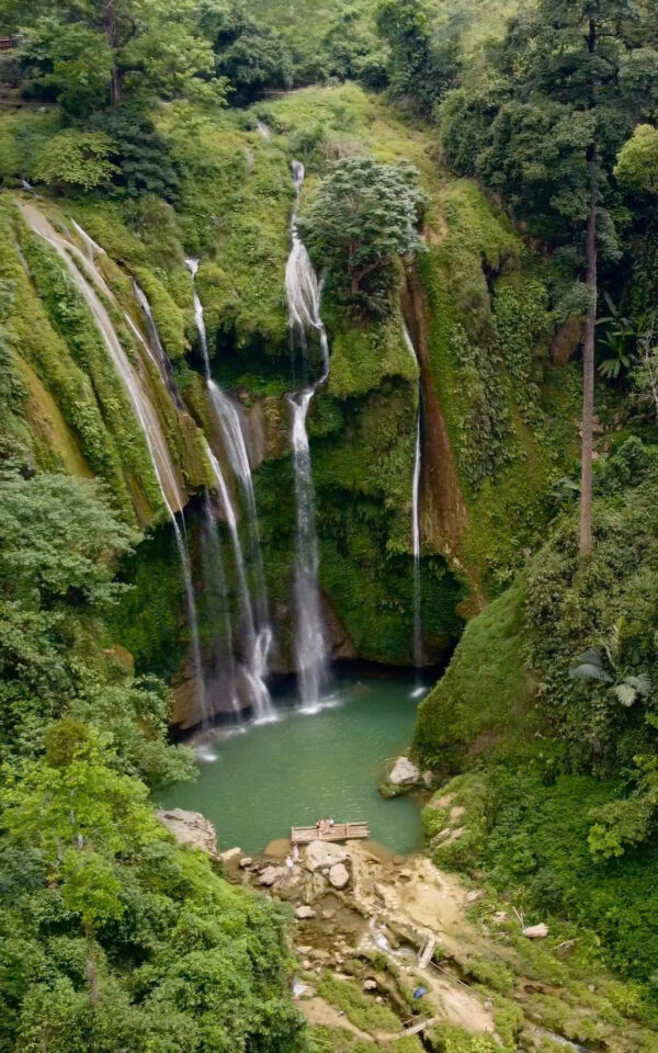 Nhà đào tạo EMDR